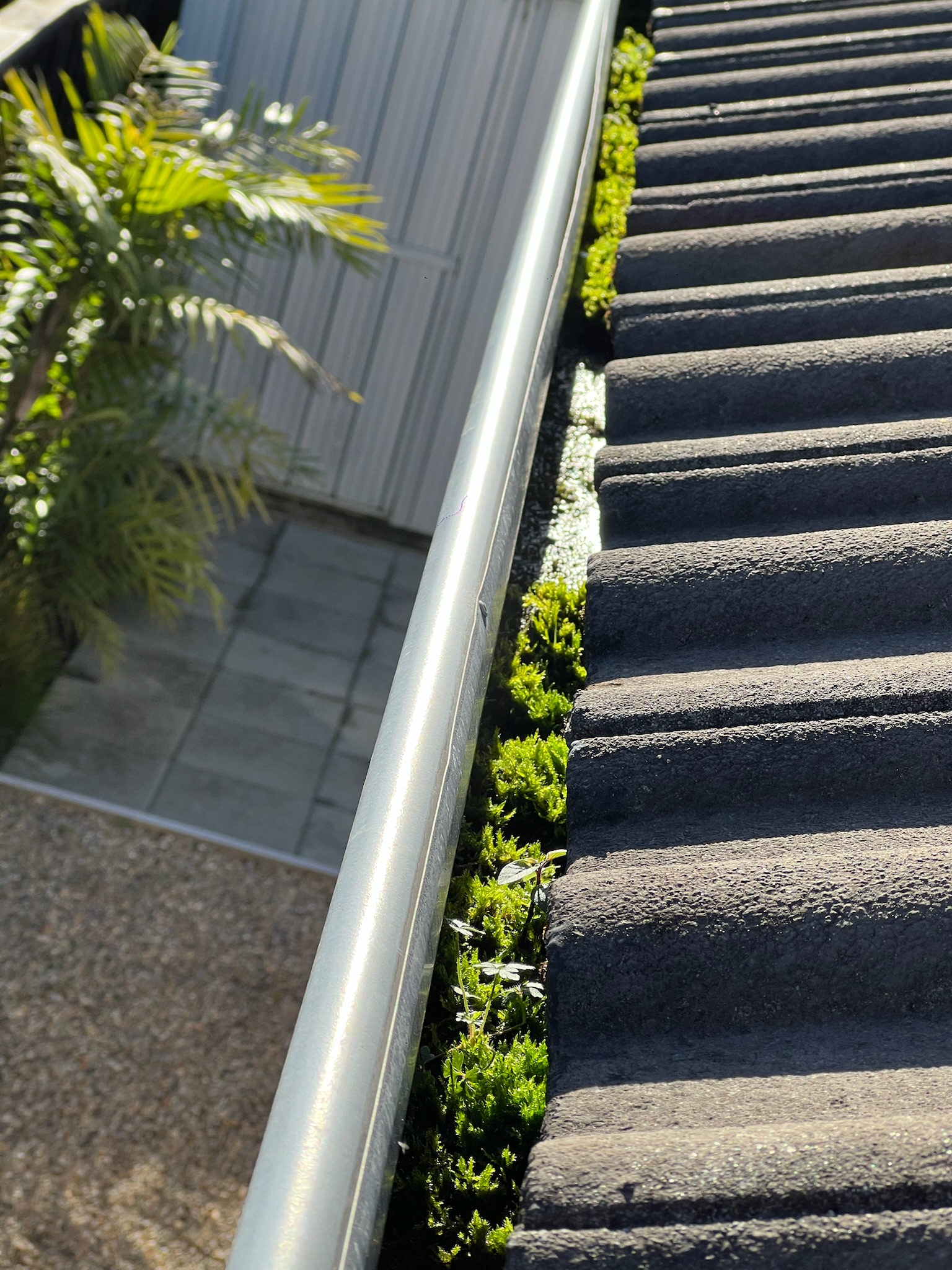 Gutters filled with leaves and debris before cleaning