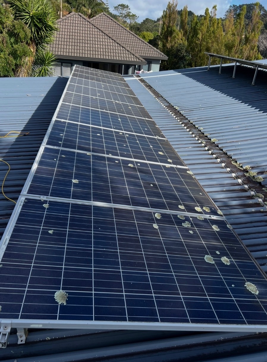 Solar panels before cleaning